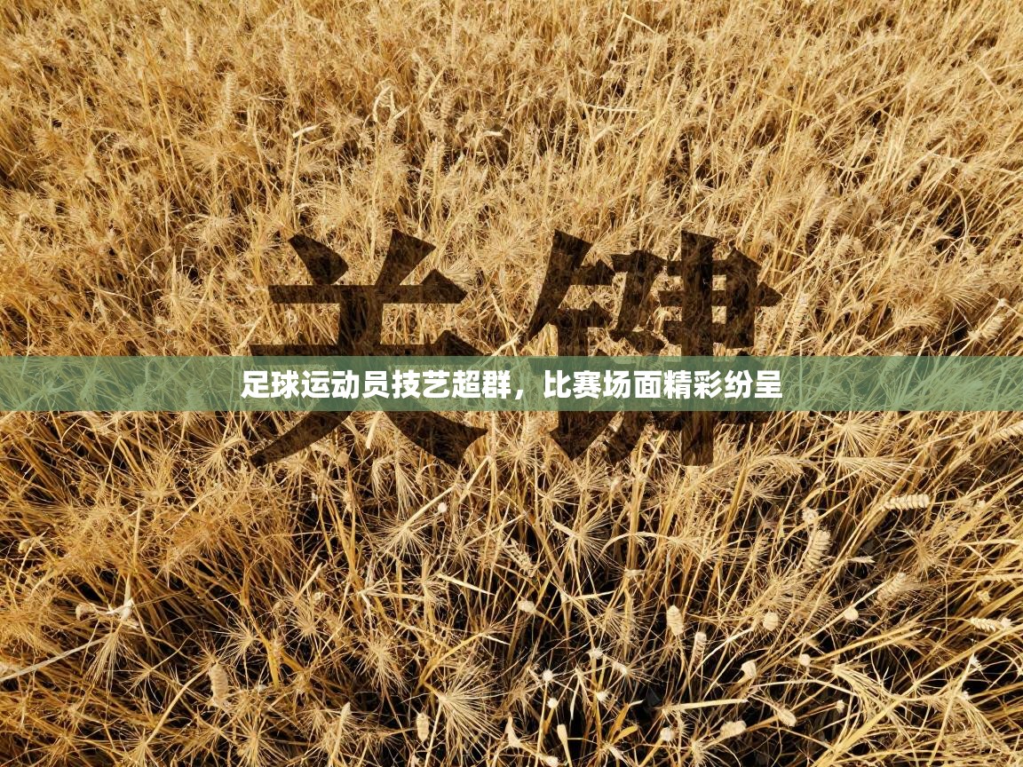 足球运动员技艺超群，比赛场面精彩纷呈  第2张